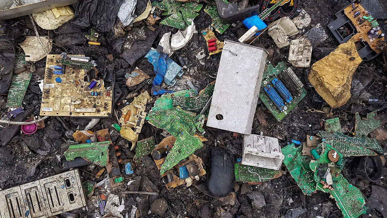 Growing effect of toxic materials: